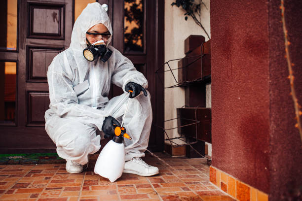 Reliable Cockroach Control contractor in Bartow, FL by Nex Pest Control